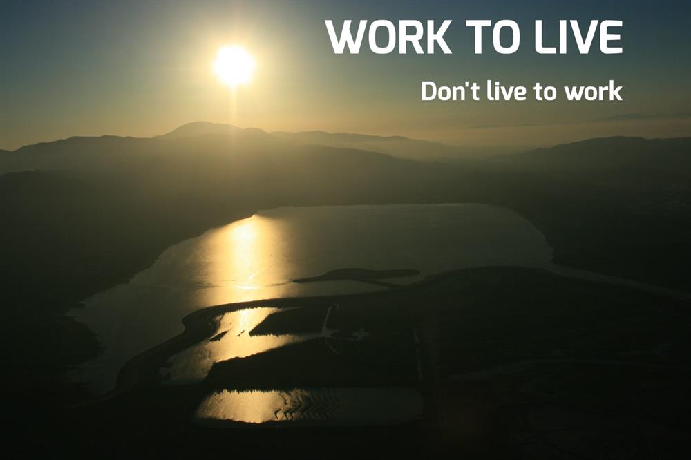 Work to live